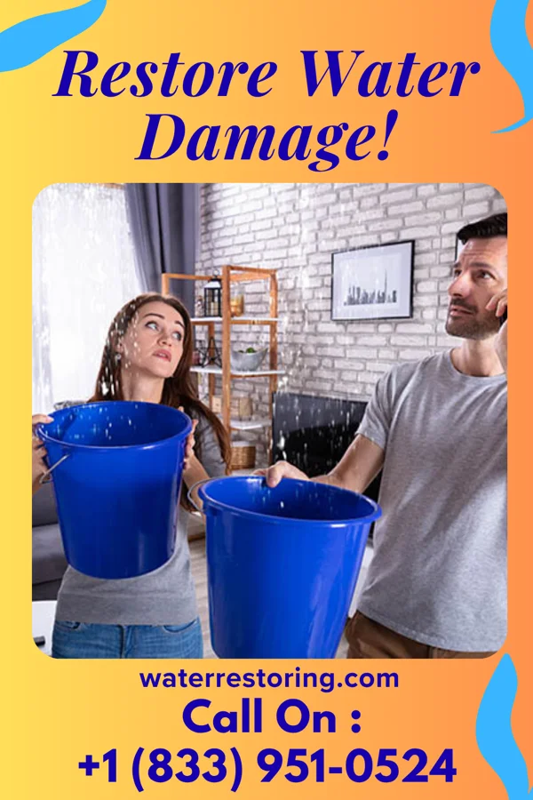 water restoration Quality Property Restoration Company D'Lo