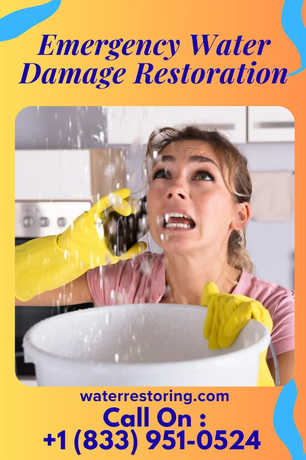 Emergency Water Damage Restoration in D'Lo, MS
