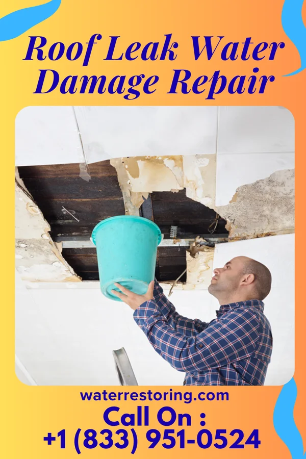 Roof Leak Water Damage Repair in D'Lo, MS