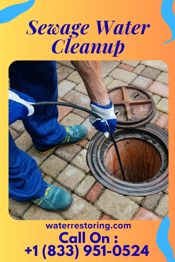 Sewage Water Cleanup in D'Lo, MS