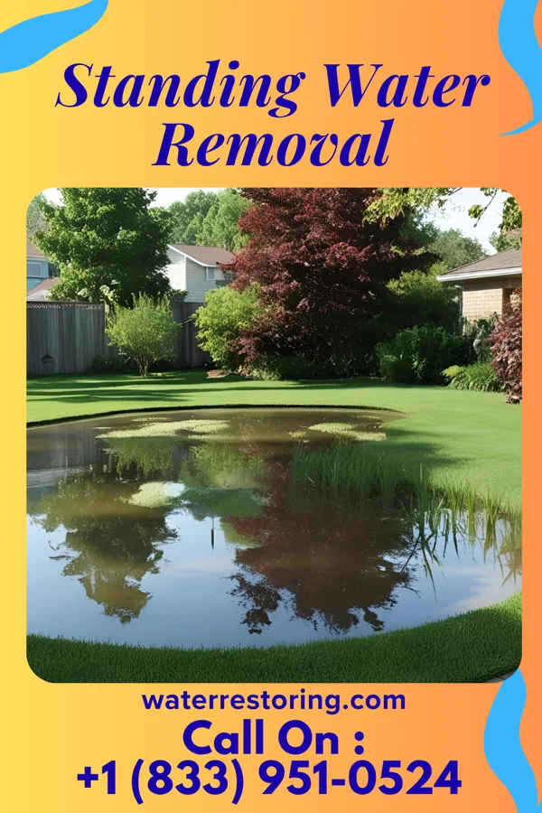 Standing Water Removal in D'Lo, MS